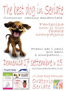 The best dog in Seriate @ Campo a 11 | Oratorio