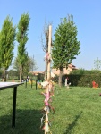 RitiroCresimandi (11).jpg