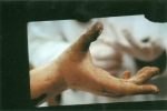 pezzotta0002 (Copia).jpg