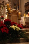 Natale 2017 (15).jpg