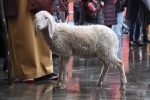 FestaDelDono2018 (44).jpg