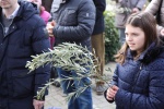 Palme2018 (3).jpg
