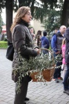 Palme2018 (5).jpg