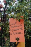 FestePatronali2021 (20).jpg