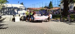 FestePatronali2022 (9).jpg