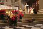 Natale 2024 (20).jpg