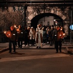 25 via crucis covid 2026.jpg