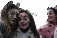 Carnevale2013 (07).JPG