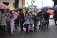 Domenica delle Palme (2).JPG