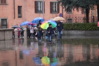 Domenica delle Palme (8).JPG