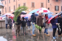 Domenica delle Palme (10).JPG