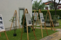 13-donandrea.jpg