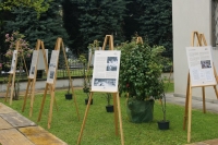 14-donandrea.jpg
