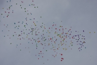 FestaDelDono2014 (58).JPG