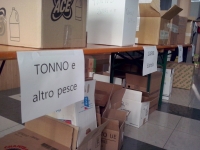 RaccoltaViveri1 (3) (Copia).jpg