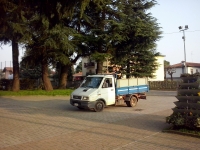 RaccoltaViveri1 (5) (Copia).jpg