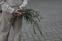 DomenicaPalme (3).JPG