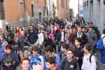 Palme2015 (12).JPG