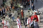 Palme2015 (19).JPG