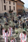 Palme2015 (20).JPG