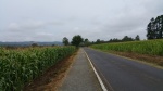 20150815_111937.jpg