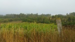 20150818_084856.jpg