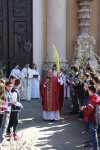 Palme2016 (23).JPG